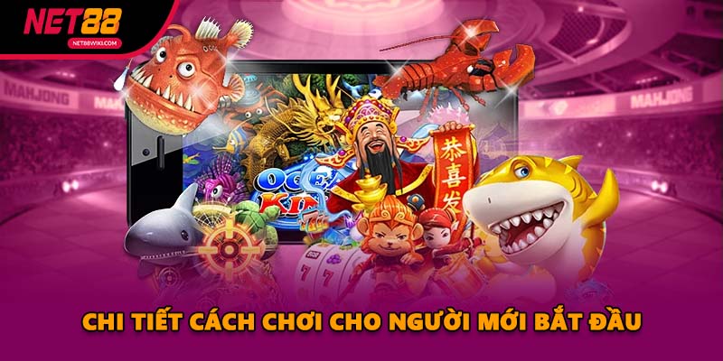 Chi tiết cách chơi cho người mới bắt đầu