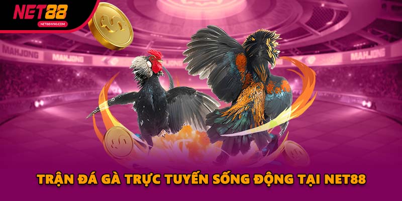 Trận đá gà trực tuyến sống động tại NET88